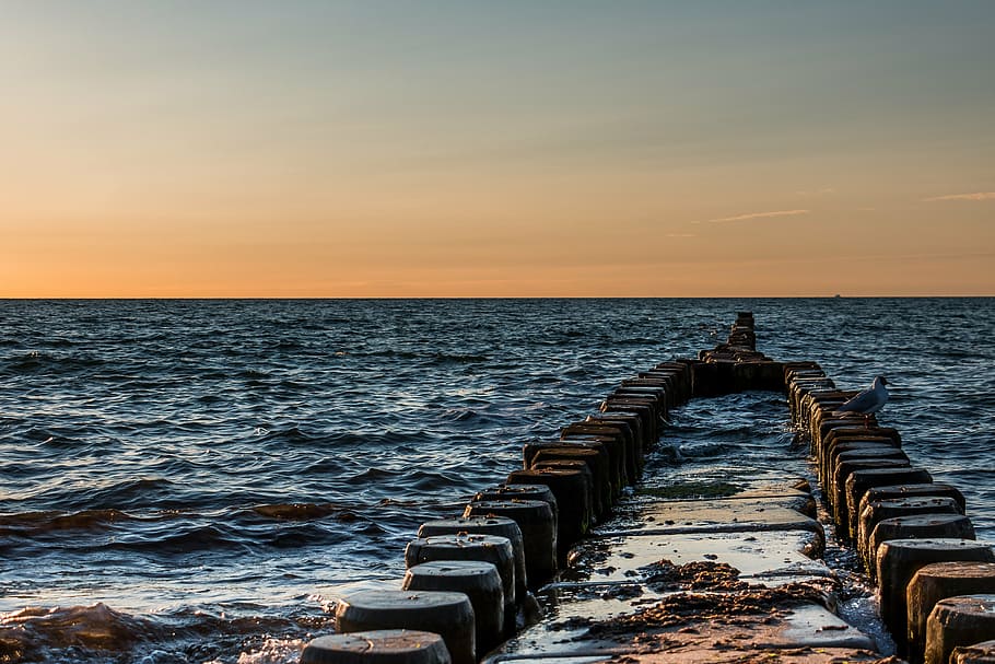 ostseebad ahrenshoop, Buhnen, Ostsee, Wasser, schwimmen