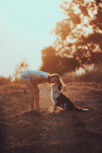 beyaz, siyah, köpek, öpüşmek, Kadın, kafa, gündüz, gün batımı, dış mekan, bokeh, yol