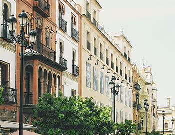 Laternenpfähle, Bäume, Gebäude, Weiß, Beige, Beton, Sevilla, Spanien, die Architektur, städtisch, Stadt