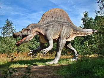 hnědý, dinosaurus, chůze, tráva, dinosauří park, Modelka, prehistorie, dravec, gad, zuby, nebezpečný