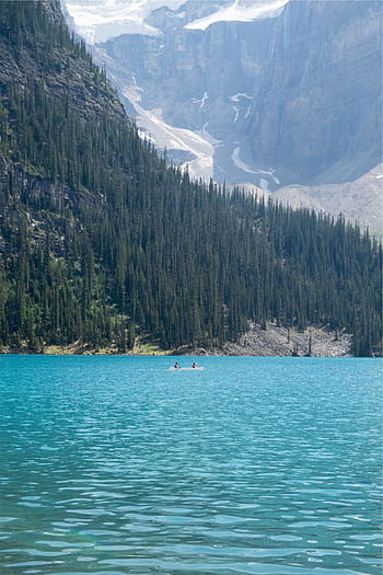 dos, personas, equitación, bote de remos, blanco, canoa, cuerpo, agua, con vistas, verde, árboles