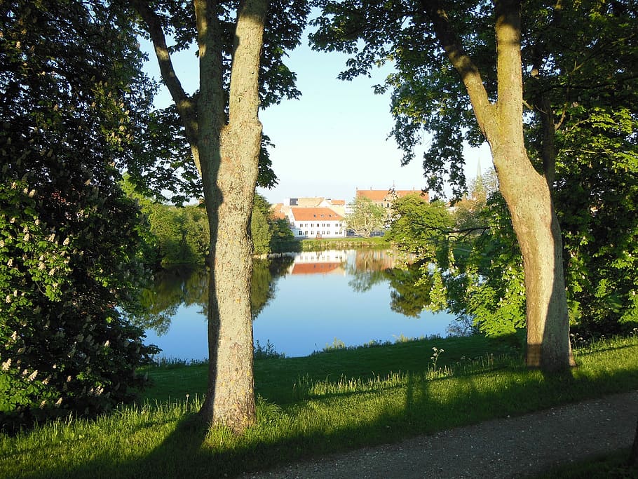 večer, atmosféra, hradní jezero, jezero, město, večerní atmosféru, město, světlo a stín, stromy, nyborg, fuen, Dánsko