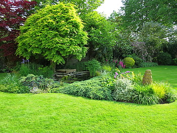 English Garden, Bath, England, bath in england, hotel garden, green, plant, grass, green Color, nature, tree