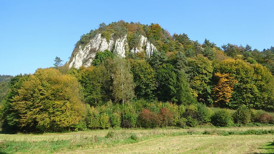 創設者たち、 ポーランド、 風景、 岩、 国立公園