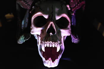 close, skull, demon, monster, shadow, horror, death, devil, spooky, halloween, dead