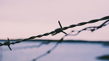 closeup, φωτογραφία, γκρί, barbwire, barb, καλώδια, ασφάλεια, αιχμηρός, φράκτης, συρματόσχοινα, propery