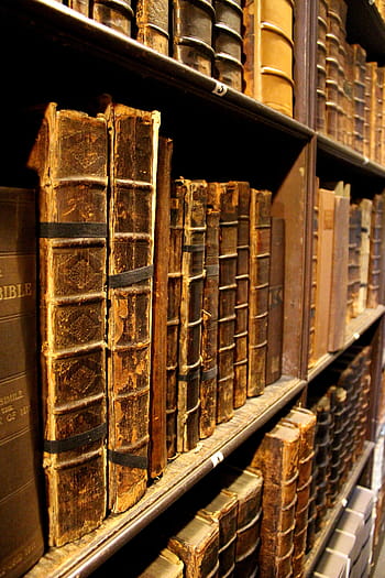 brown, hardbound, book lot, Books, Bookshelf, Library, reading, vintage, old, learning, shelf
