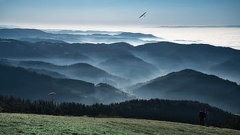 hory, panoráma, krajina, scénický, Černý les, Německo, mlha banky