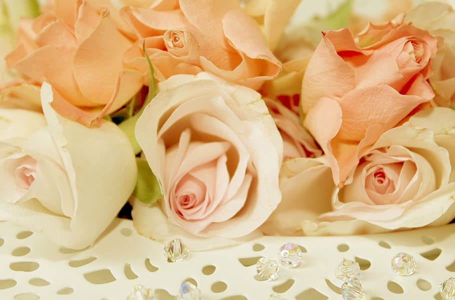 bianca, rosa, mazzo di fiori, Rose, piatto, romantico, fiorire, fioritura, San Valentino, nozze, mazzo di rose
