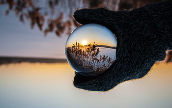 kişi, tutma, açık, cam top, gösterme, çim fotoğrafçılık, bardak, eldiven, soğuk, hava, ağaçlar