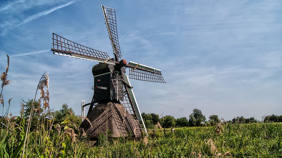 Wicks, Wind Mill, mill, historic building, dutch mill, wood, wooden wicks, spider mill, alternative energy, environmental conservation, wind power
