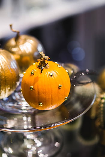 ornamentales, calabazas, cactus, oro, adornos, calabaza, decoración, otoño, acción de gracias, halloween, temporada