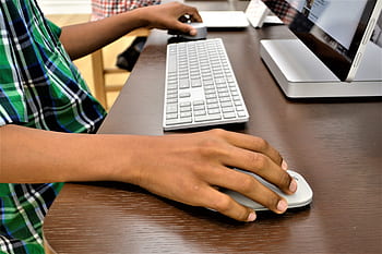 microsoft, computer, african american, boy, child, windows, keyboard, desk, network, media, notebook