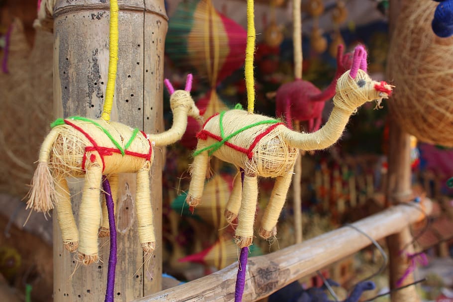 deer, konark, puri, orissa, temple, travel, wheel, monument, bhubaneswar, architecture, sun