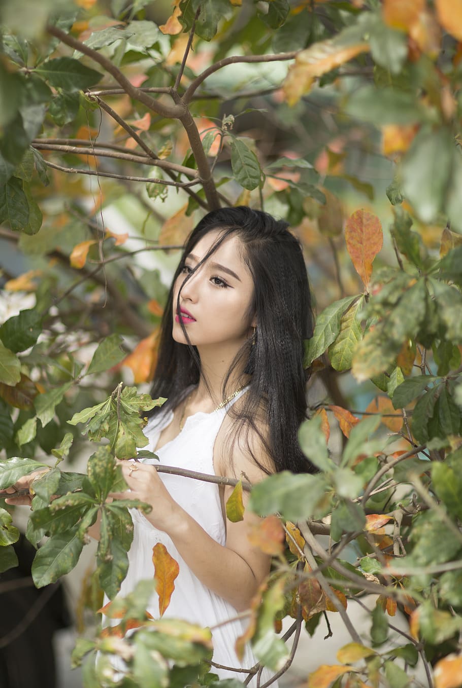 girl, girl In The Forest, nice, girly, beautiful, young, women, vietnam, romantic, style, lovely