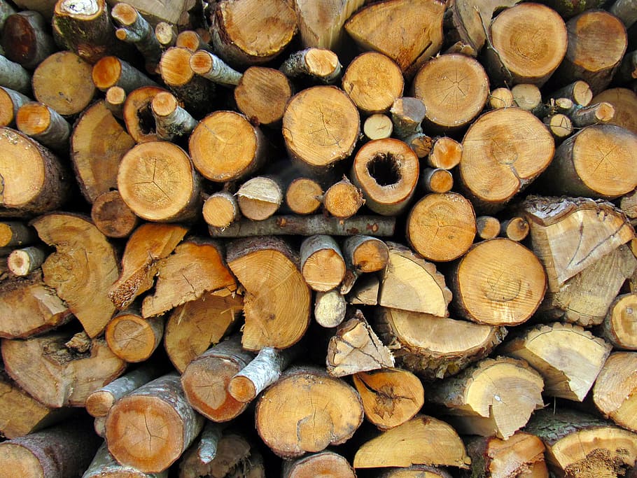 firewood, pile, wood, village, sawn, tree bark, logs, saw cut, tree