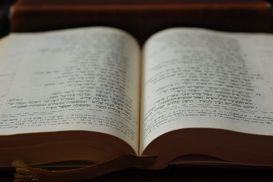 bible, hebrejština, rezervovat, text, otevřeno, stránka, duchovno, náboženství