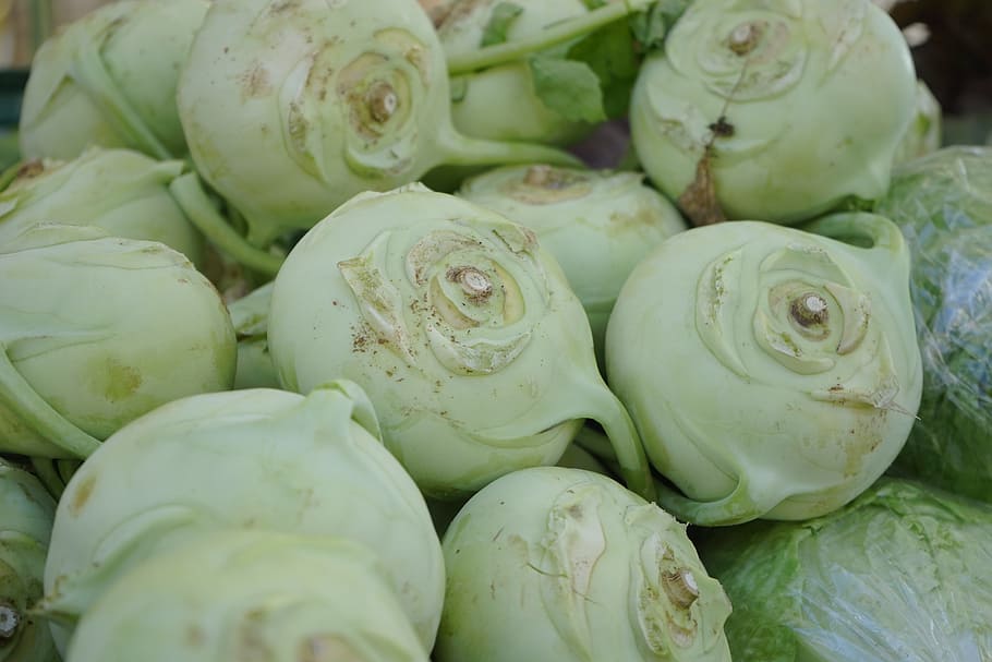 kohlrabi, vegetables, Kohlrabi, Vegetables, brassica oleracea var, gongylodes l, upper kohlrabi, upper beet, ruebkohl, stem turnip, vegetable plant, cultivar