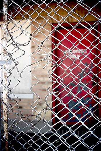 macro shot photography, fence, chicken, wire, door, red, sign, grid, steel, metal