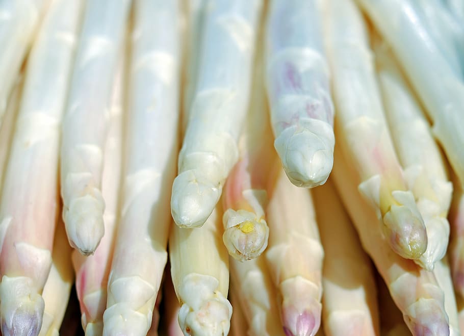 Senza titolo, asparago, bianca, brillante, frisch, tempo di asparagi, cibo, nutrizione, verdure, salutare, vitamine