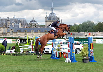 chantilly, skok, Ukaž skákání, fuchs, turnaj, Reiter, jezdecký