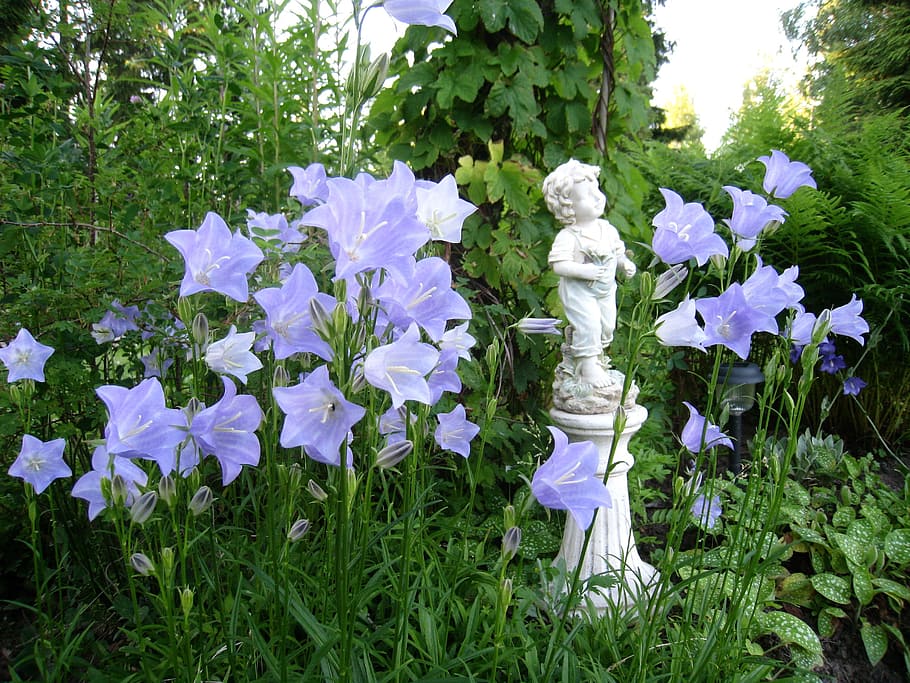 purple, petaled flowers, concrete, statuete, statue, boy, flowers, pidestal, grass, green, summer