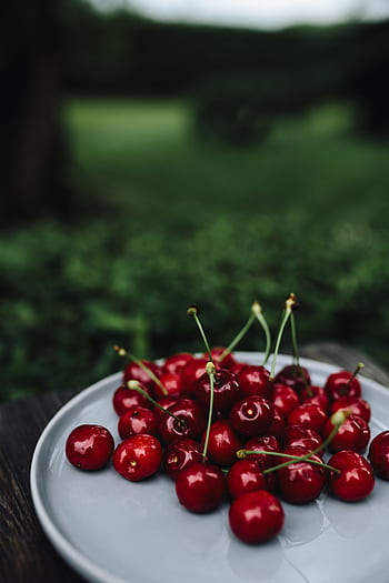 buah-buahan, makanan, sehat, merah, musiman, Segar, Ceri, sederhana, piring