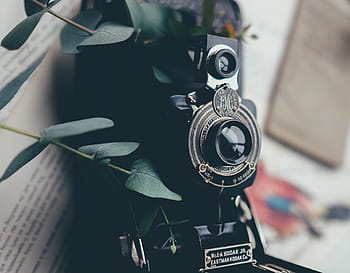 black, twin, lens reflex camera, placed, white, paper, camera, leaves, lens, bokeh, flash