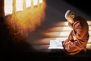 theravada buddhismus, buddhista, nováček, samanera, zpívání, náboženský, mnich, klášter, duchovno, uctívání, víra