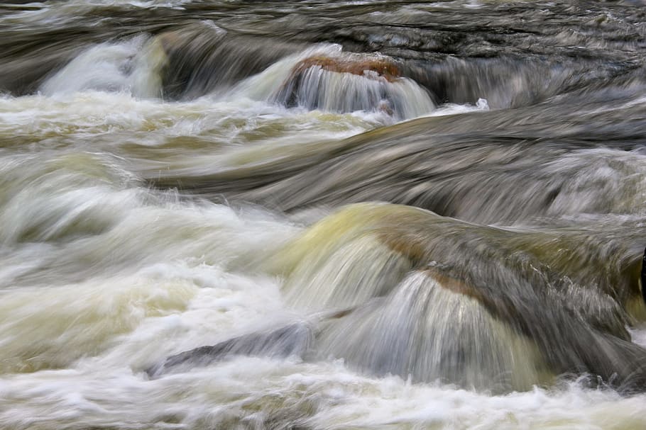 Whitewater, Rapids, Landscape, Water, whitewater, rapids, river, scenic, rocks, flowing, forest, movement
