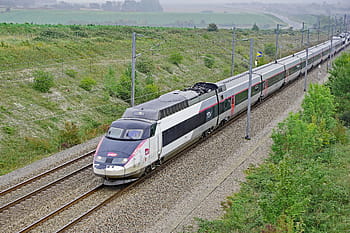 bianca, nero, treno ad alta velocità, tgv, Francia, ferrovia, traffico veloce, traffico remoto, alta velocità, unità elettrica multipla, francese