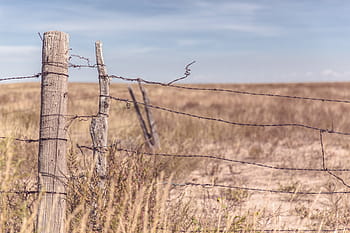 barbwire plot, barbwire, plot, Příroda, líný, ostnatá, drát, pole, louka, neplodný, pustý