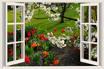 assorted flowers, a beautiful day, good mood, joy, tulips, flowers, window, white window, white window frame, open, spring