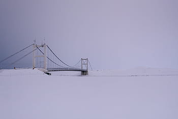 white, suspension bridge, covered, snow, steel, long, bridge, fill, winter, structure, architecture