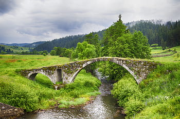 stone bridge, creek, nature, bulgaria, landscape, rhodope mountains, spring, lush, meadow, stream, trees