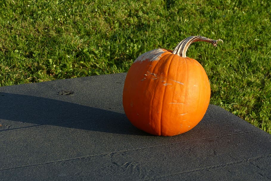 Pumpkin, Halloween, Orange, autumn, exterior, orange color, vegetable