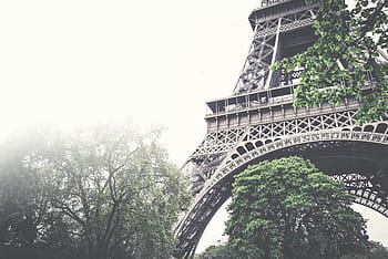 nízký, úhlové fotografování, Eiffelova věž, Paříž, úhel, eiffel, věž, architektura, stromy, listy, Příroda