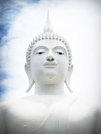 closeup, buddha statue, buddha, india, mind, prayer, concept, buddhist, buddhism, budda, posture