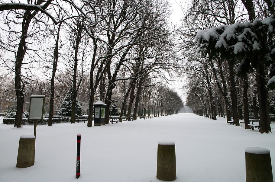 Luxembourg, Winter, Snow, Ice, Trees, park, sky, nature, outside, tree, cold - Temperature