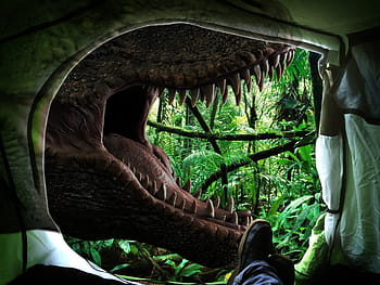 nature, dinosaur, t rex, dino, prehistoric times, carnivores, reptile, tyrannosaurus rex, animal, carnivorous dinosaurs, dangerous