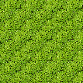 texture, seamless, plants, pattern