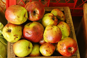 lots of apples, crate, apples, fruits, food, healthy, fruit, food and drink, healthy eating, freshness, close-up