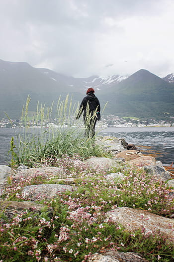 person, black, jacket, standing, rock formation, looking, sea, daytime, bloom, flowers, gray