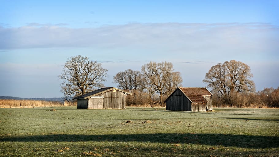 deux, marron, en bois, Maisons, Grange, cabane, cabane en rondins, la nature, champ, Prairie, vacances