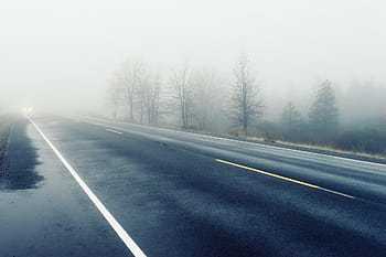 silnice v mlze, Šedá, asfalt, silnice, stromy, mlha, klimatu, světlomety, auto, opar, počasí