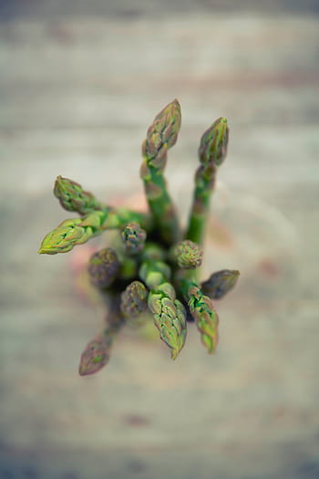 closeup, green, leaf vegetables, asparagus, vegetables, healthy, food, green color, food and drink, focus on foreground, vegetable
