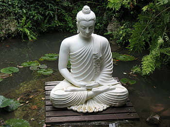 Itálie, garda, andré-světlá zahrada, gardone, Buddha, socha, sochařství, náboženství, duchovno, venku, strom