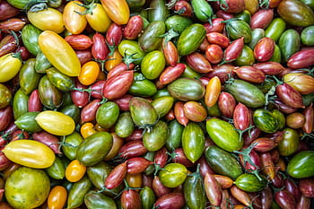 colorato, pomodori, sfondo, mercato, biologico, cibo, frutta, fresco, raccogliere, giardino, salutare