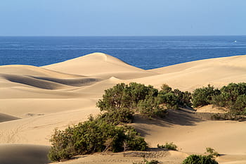 gran canaria, písečné duny, maspalomas, písek, písečná duna, poušť, scén, suché podnebí, krajina
