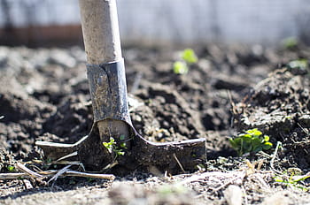 shovel on land, equipment, outdoors, dirt, dig, farming, garden, nature, ground, organic, gardening